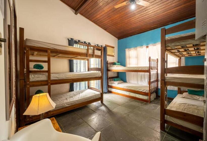 Hostel Papagaio