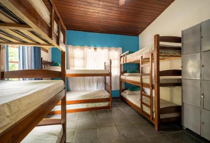 Hostel Papagaio