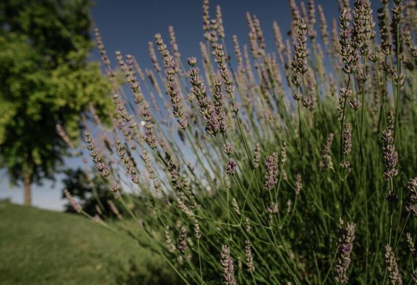 בית מלון כפרי Agriturismo Bricco San Giovanni