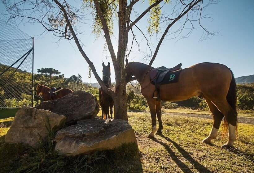 Botanique Hotel Experience   Campos Do Jordão