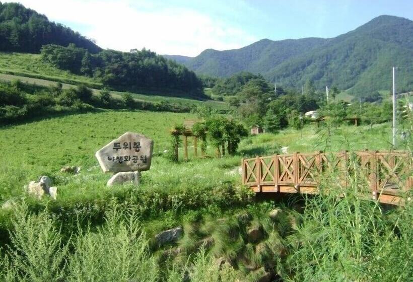 Hotel Castle In The Forest