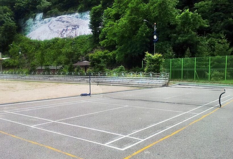 Hotel Castle In The Forest