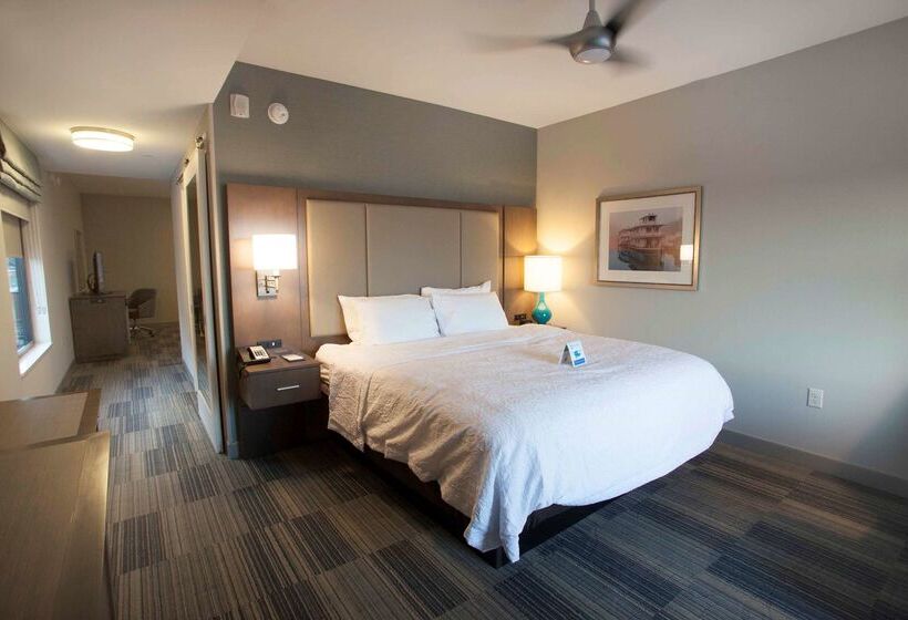 ホテル Hampton Inn & Suites Downtown St. Paul
