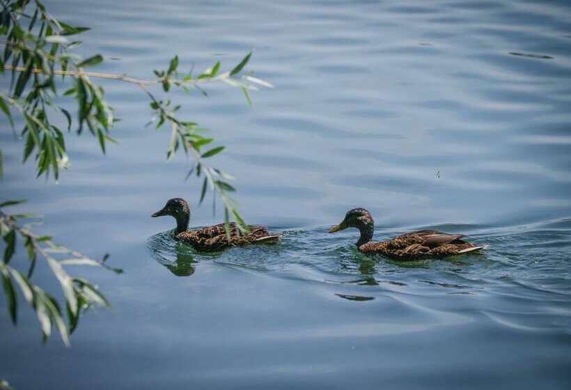 Отель Inn Design Resto Novo Le Mans