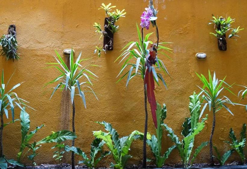 هتل Sempre Executive