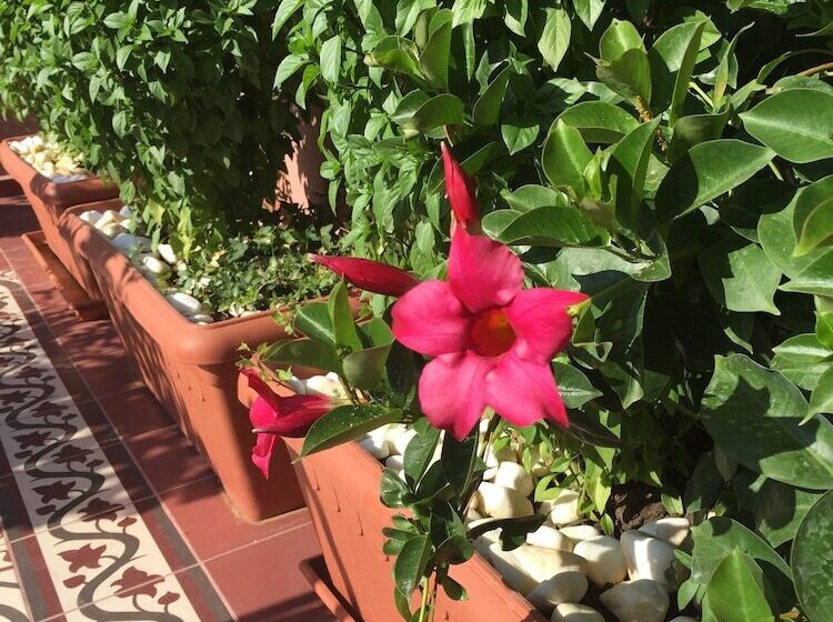 בית מלון כפרי Sperveri Boutique