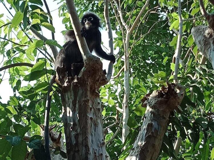 호텔 T Star Cottage