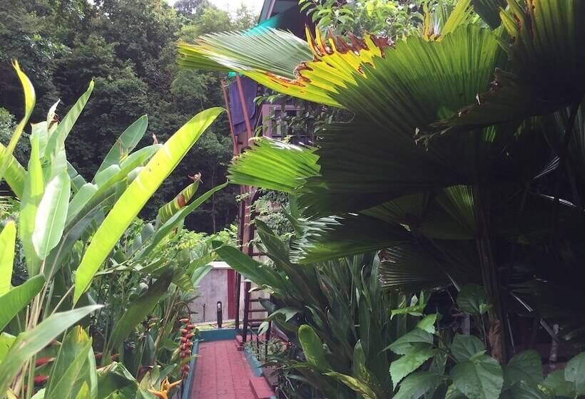 호텔 T Star Cottage