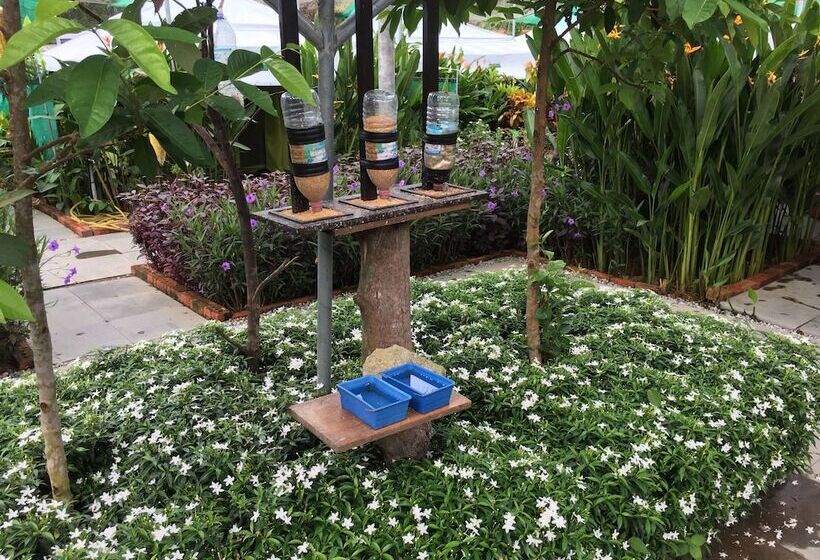 호텔 T Star Cottage