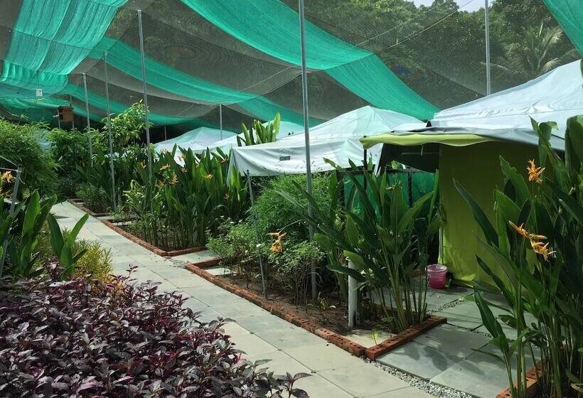 호텔 T Star Cottage