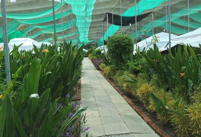 호텔 T Star Cottage