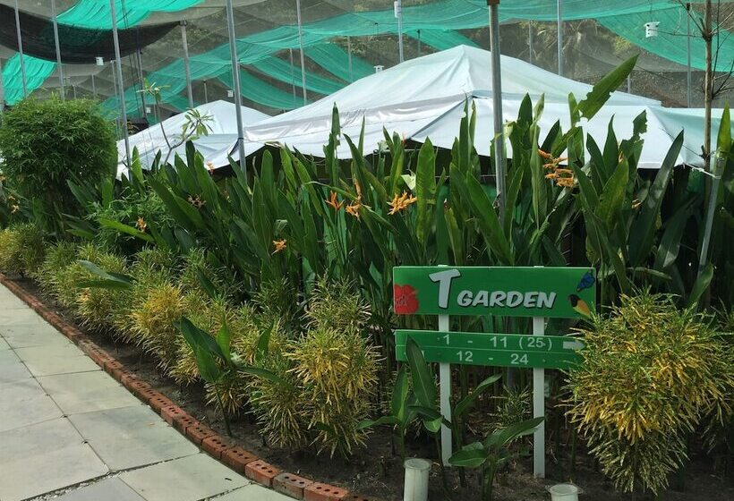 호텔 T Star Cottage