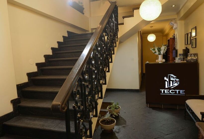 Отель Tecte Guest House