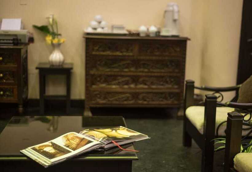 Отель Tecte Guest House