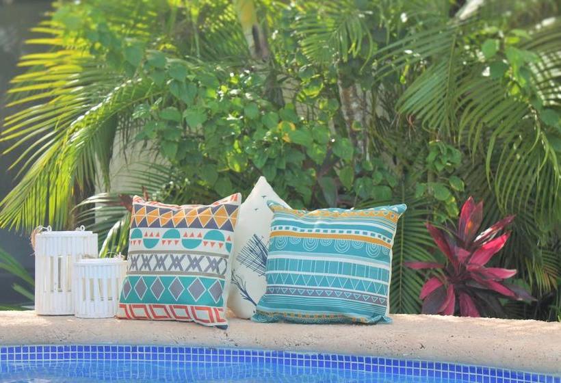 בית מלון כפרי Mayan Mittoz