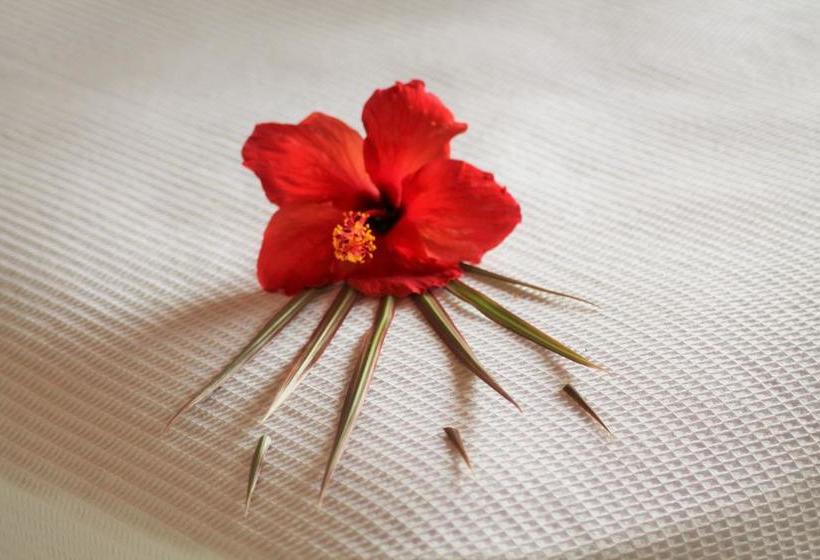 בית מלון כפרי Mayan Mittoz