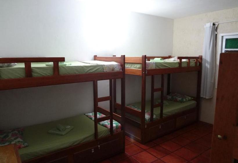 Herberge Paradise Suítes