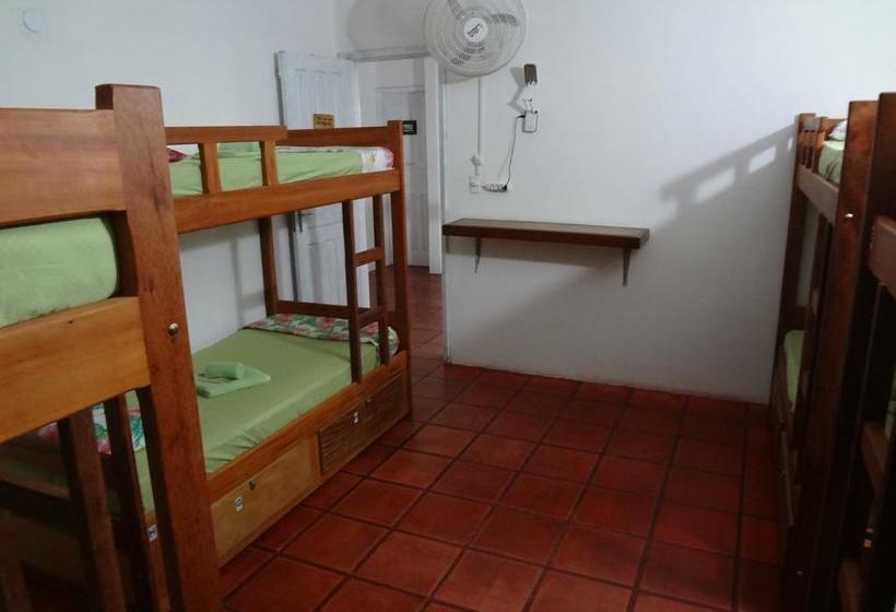 Herberge Paradise Suítes