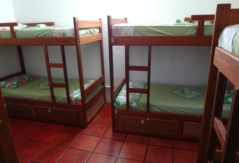 Herberge Paradise Suítes