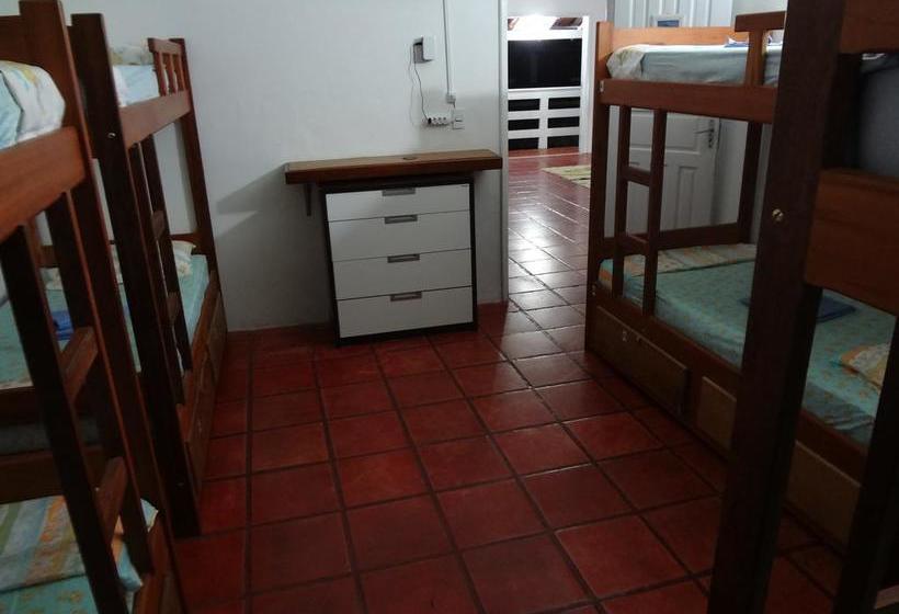 Herberge Paradise Suítes