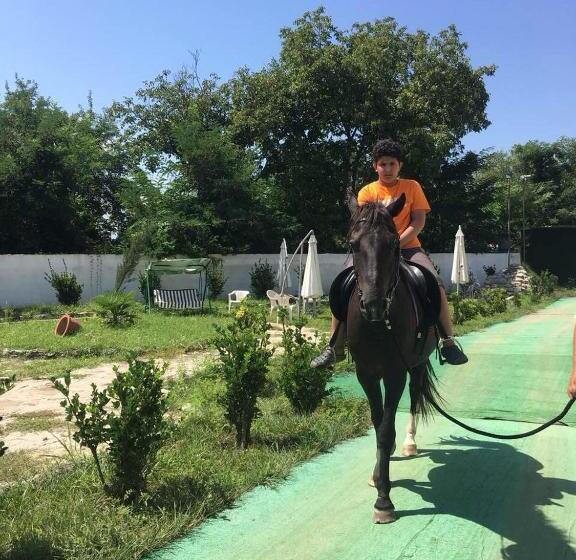 Paradise Investment Resort