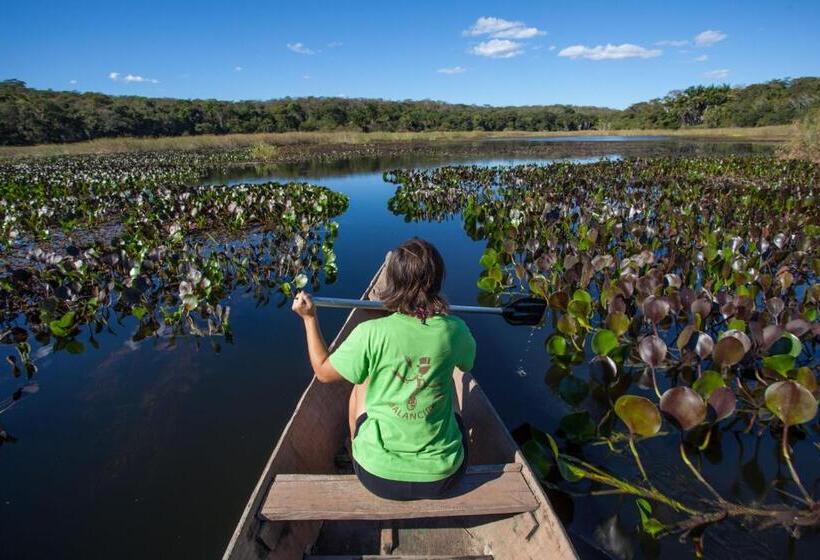 Pousada E Hostel Chapada Suites