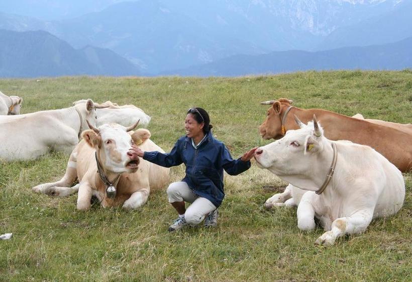 Strandhotel Orchidee