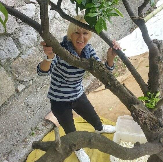 مبيت وإفطار Chambres D Hotes La Bigarade