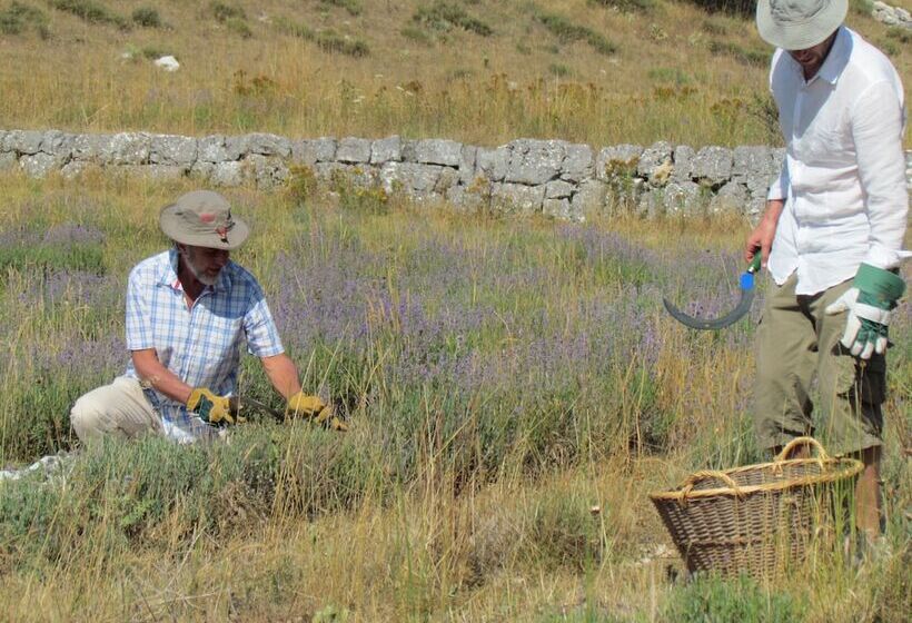 مبيت وإفطار Chambres D Hotes La Bigarade