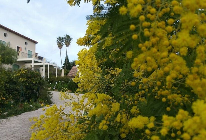 مبيت وإفطار Chambres D Hotes La Bigarade