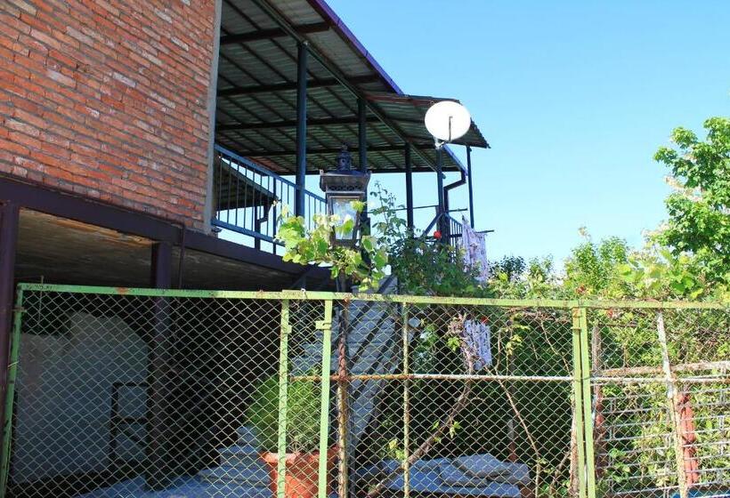 تختخواب و صبحانه Guest House Shota