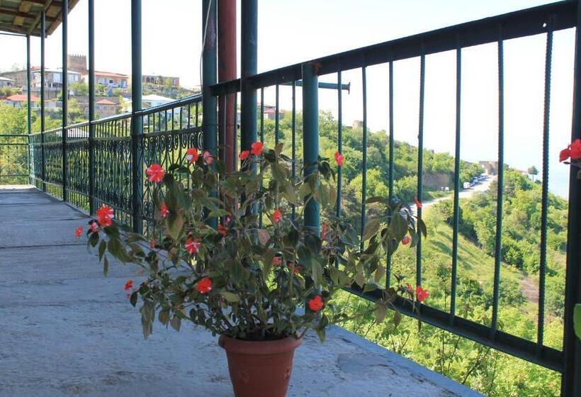 تختخواب و صبحانه Guest House Shota