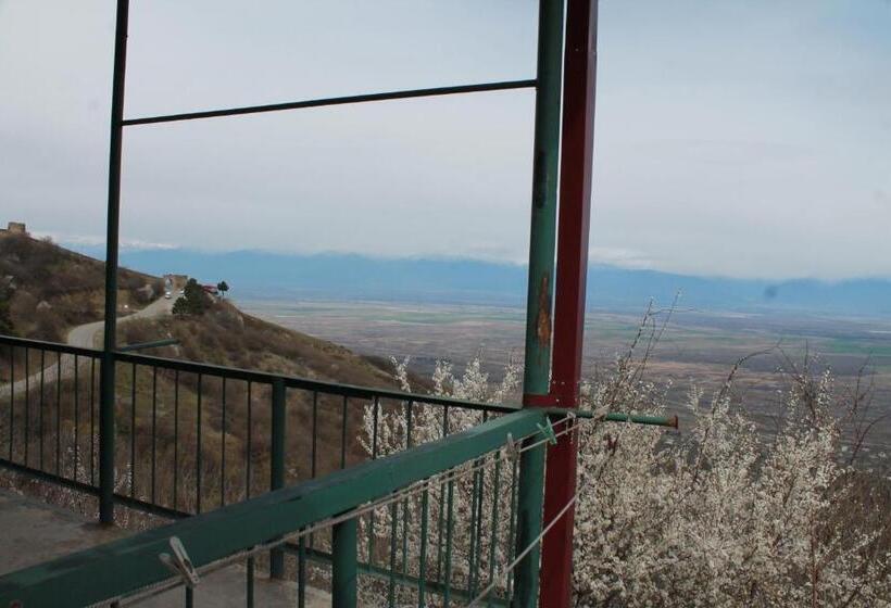 تختخواب و صبحانه Guest House Shota