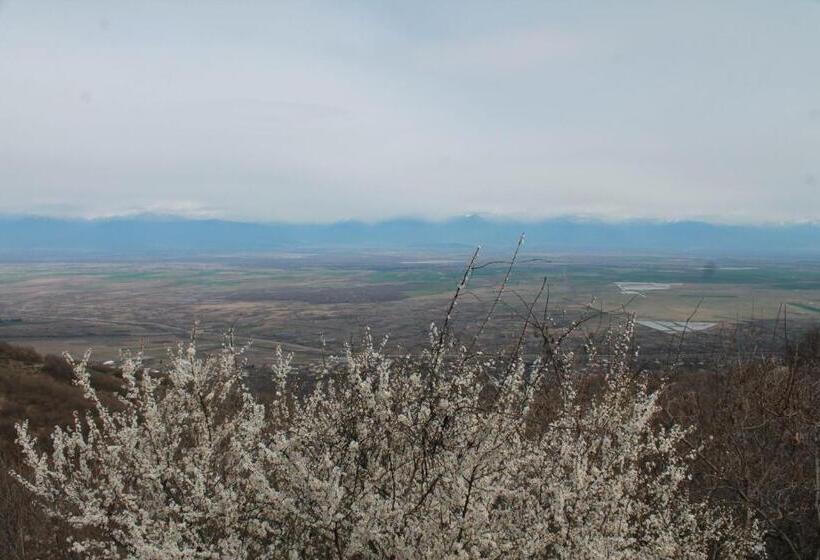 تختخواب و صبحانه Guest House Shota