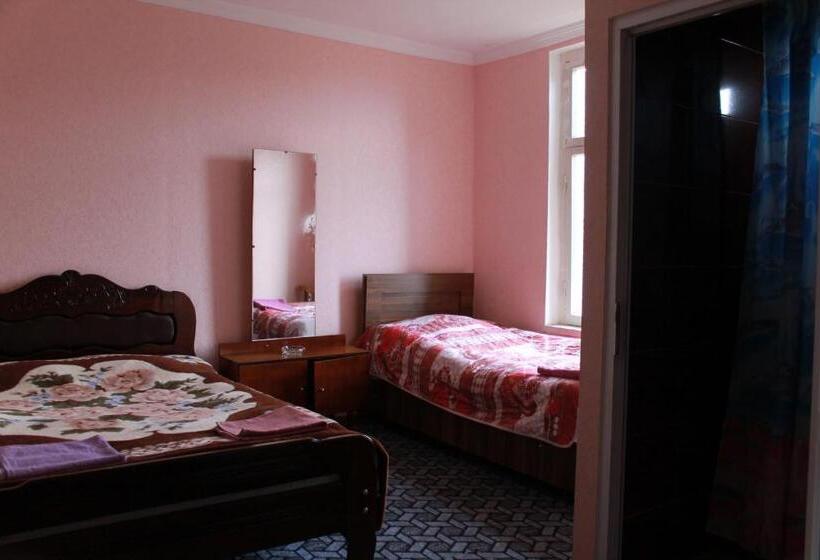 تختخواب و صبحانه Guest House Shota