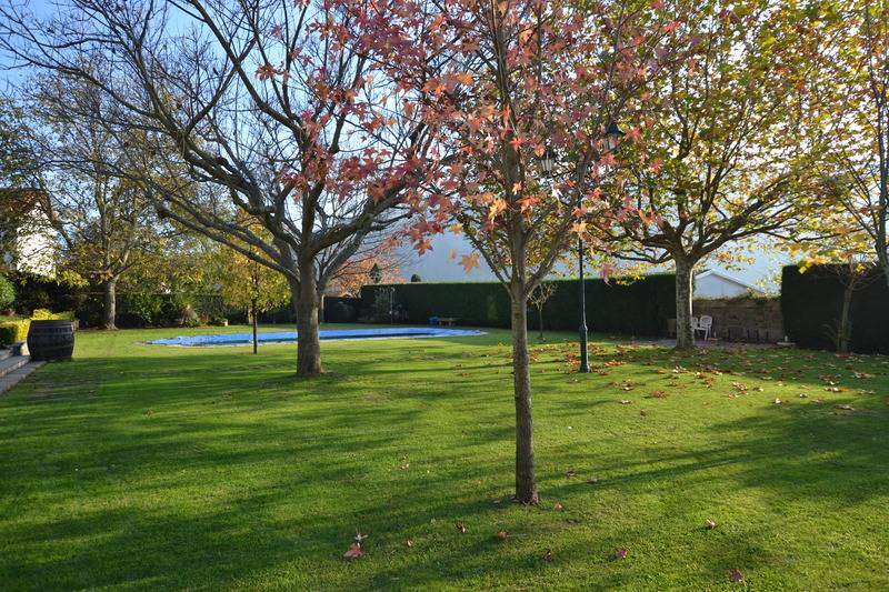 簡易ホテル Quinta Do Terreiro  Turismo De Habitacao