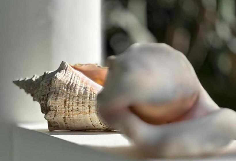 فندق Bahia Residence Cabarete