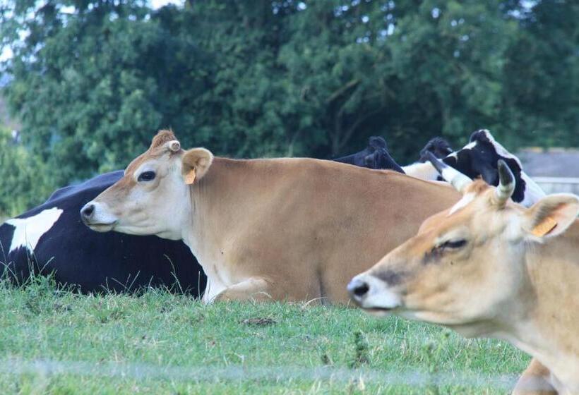 ホテル Chateau De Vouilly