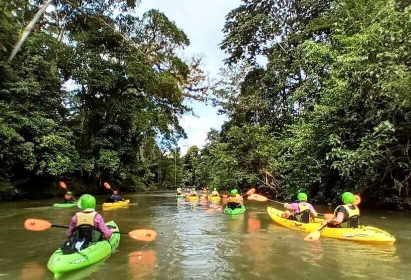 فندق Cinco Ceibas Lodge
