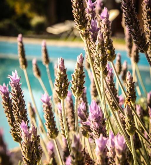 فندق Finca Terrada