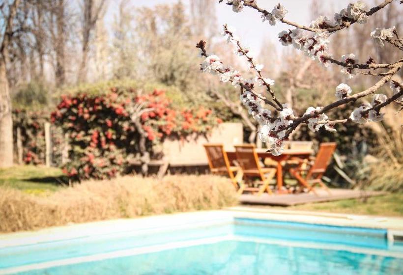 فندق Finca Terrada