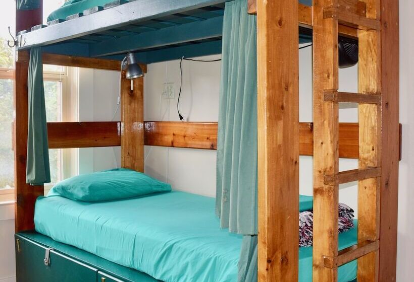 호텔 Green Tortoise Hostel Seattle