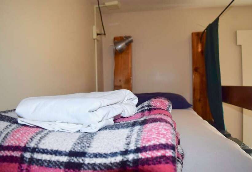 호텔 Green Tortoise Hostel Seattle