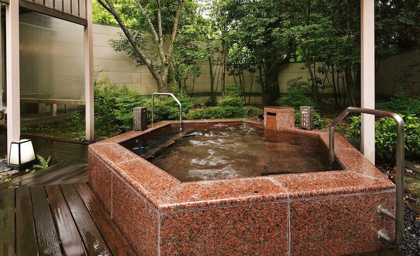 Отель Manten No Tsujinoya