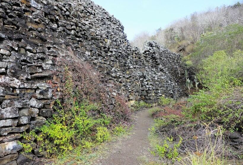 فندق Iguana Crossing Boutique