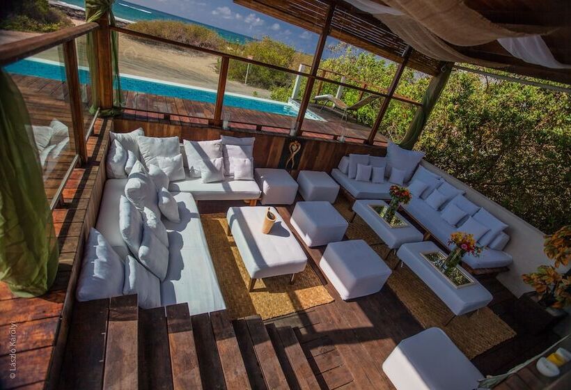 فندق Iguana Crossing Boutique