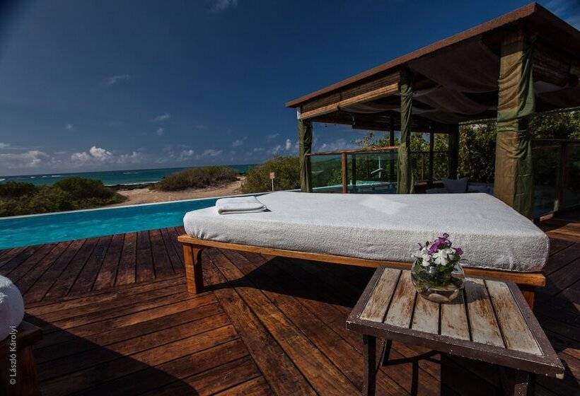 فندق Iguana Crossing Boutique