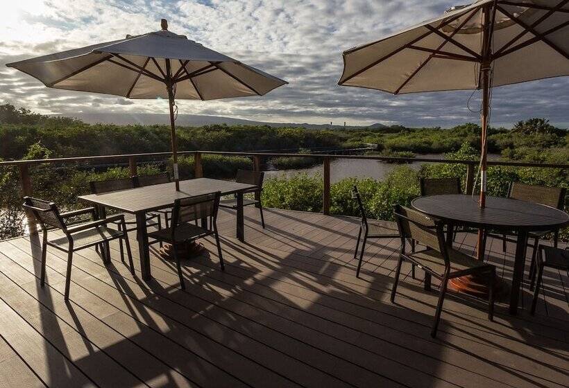 فندق Iguana Crossing Boutique