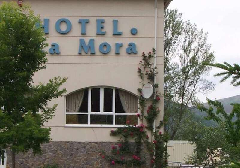 酒店 La Mora
