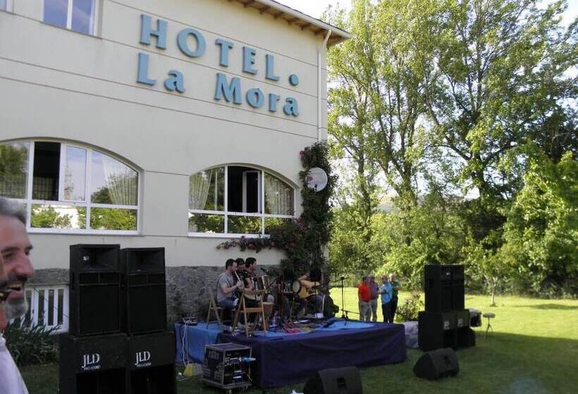 酒店 La Mora